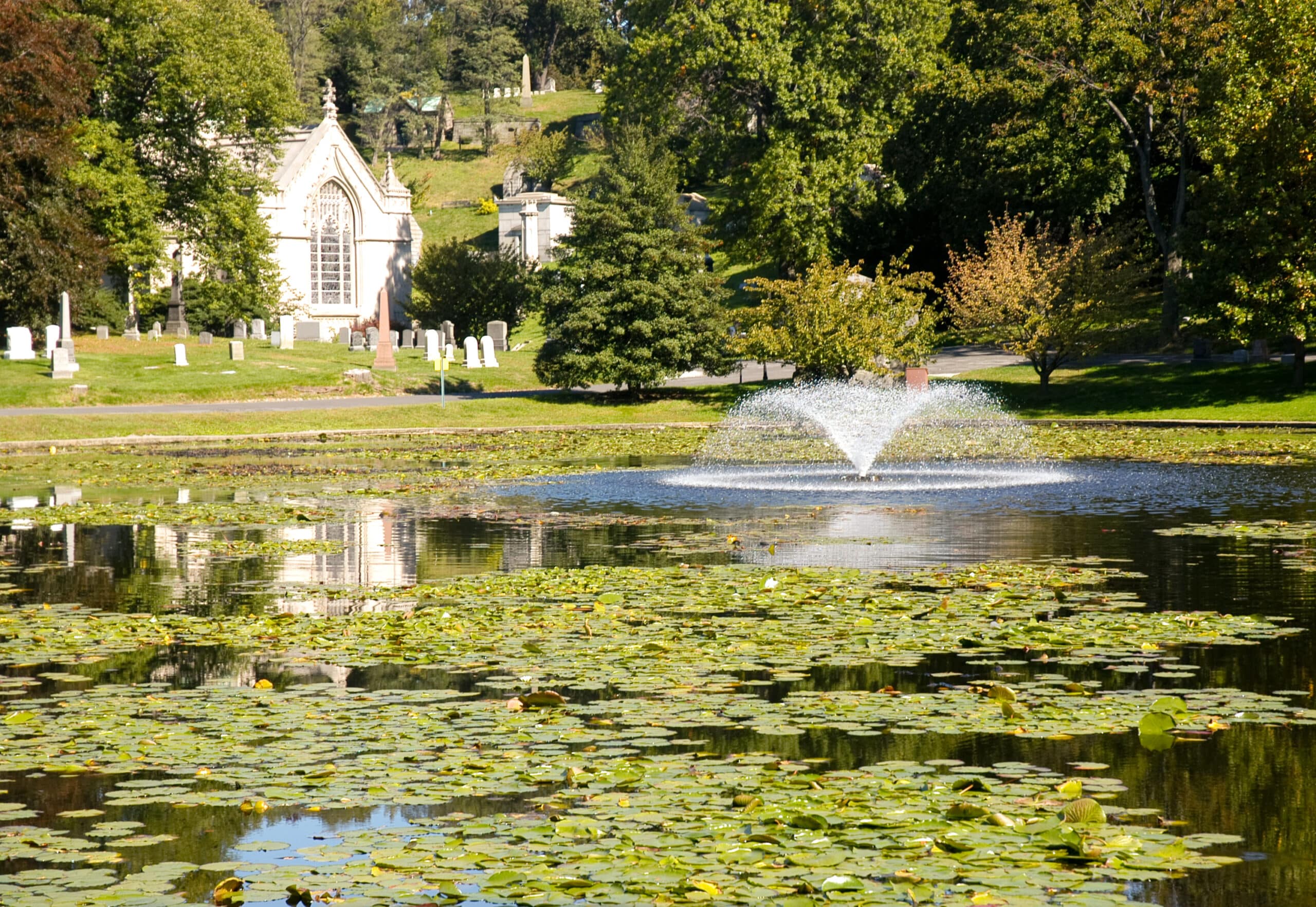 Part botanical garden, part sculpture gallery, Green-Wood’s quiet beauty feels miles away from the city.