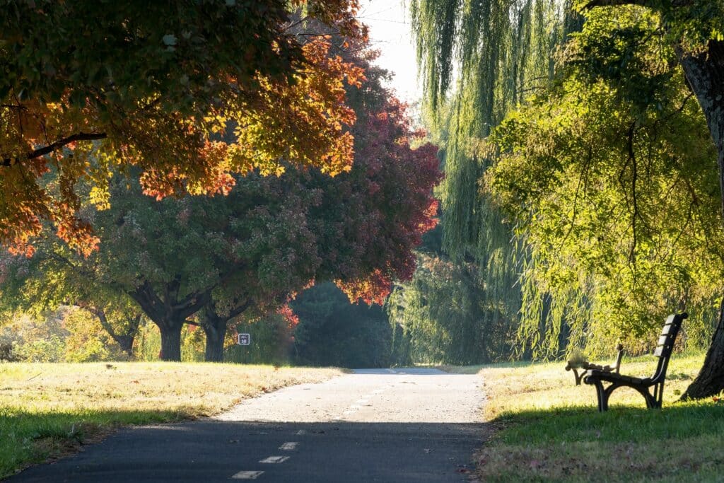Mt. Vernon Trail. Mid to late October brings peak color to Virginia’s mountains, painting the landscape in a vibrant patchwork of reds, oranges, and golds.