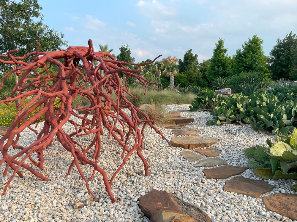 The Houston Botanic Garden’s Global Collection Garden blends desert flora with sculptural elements, offering a curated walk through arid ecosystems.