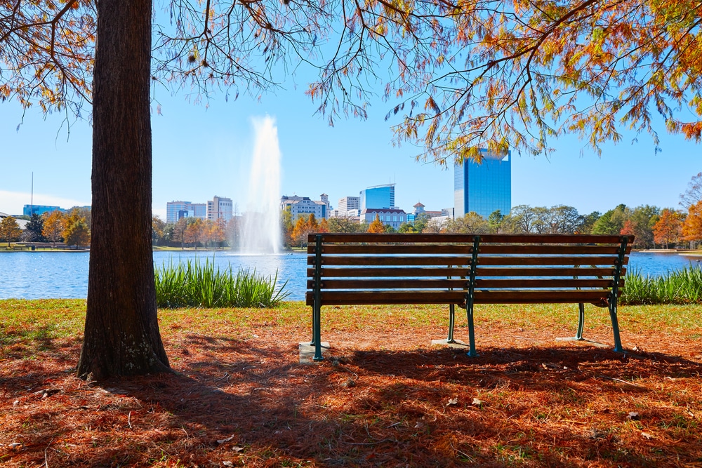 Early mornings at McGovern Lake offer calm water, skyline views, and a peaceful start before Hermann Park fills with visitors.