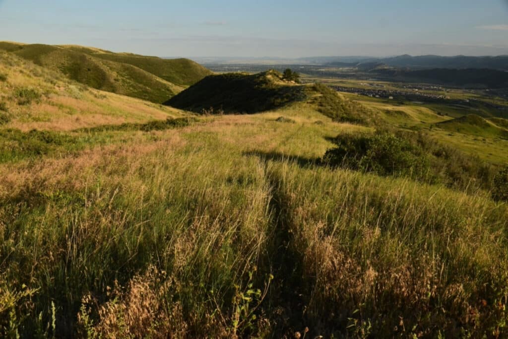 Grassy rolling hills