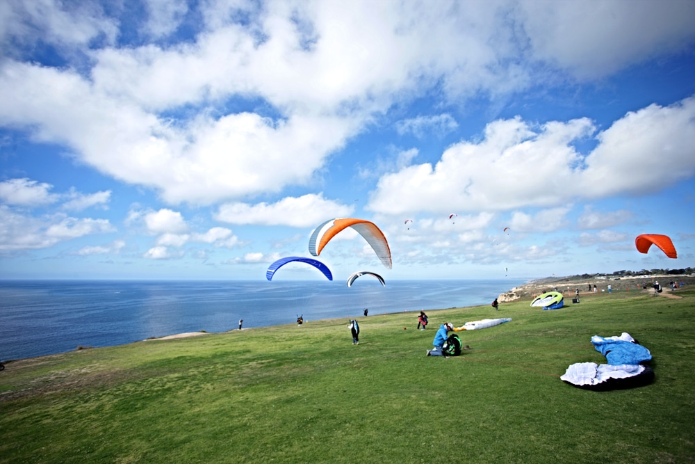 Paragliders at Torrey Pines Gliderport in San Diego