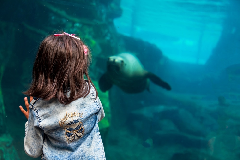 Houston Zoo, Houston, Texas