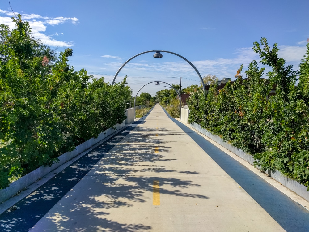 A paved path with bushes on either side.