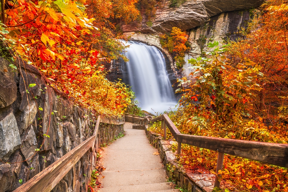 A staircase ascending towards a vibrant waterfall surrounded by autumn foliage.