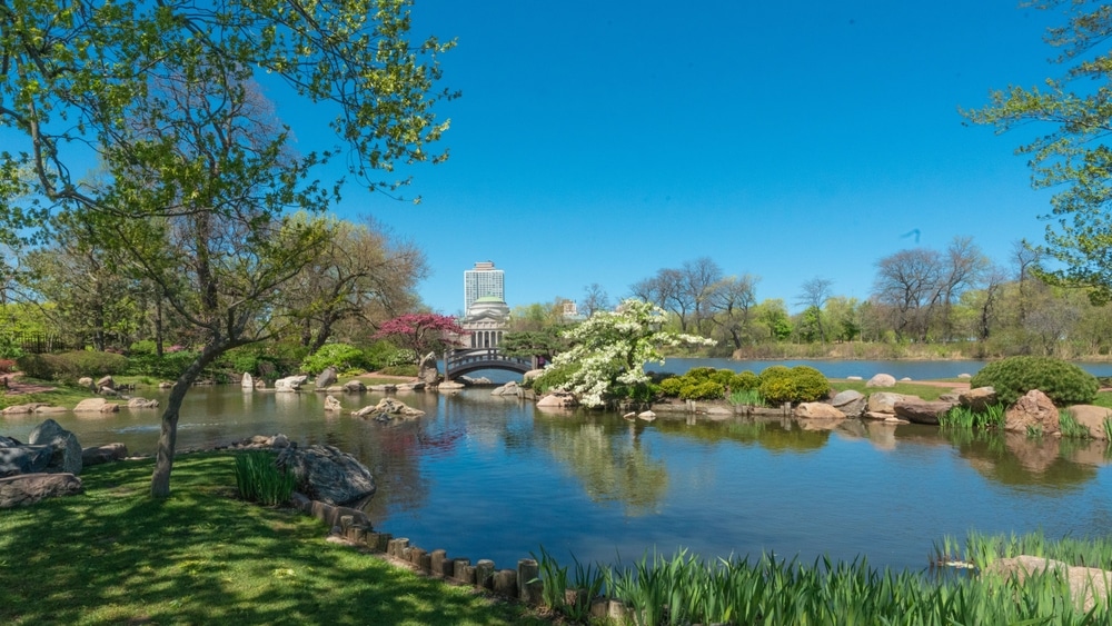 view of a botanical garden with a pond