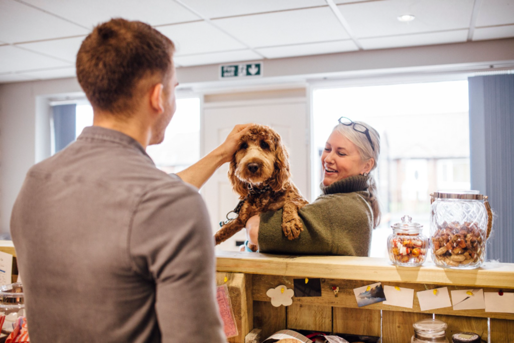 A man and woman stand at a counter, smiling, with a dog sitting beside them.